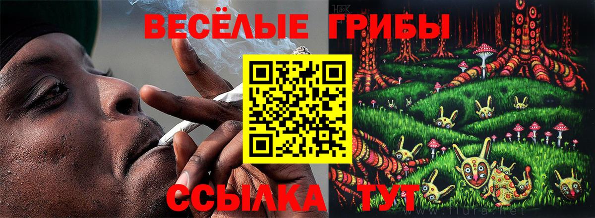 Псилоцибиновые грибы Psilocybe  Вход с VPN  Изобильный  Галлюциногенные грибы мицелий 